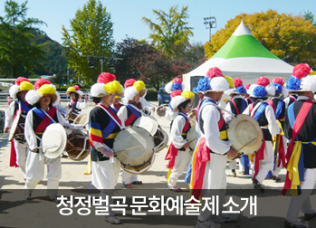 청정벌곡 문화예술제 소개